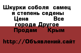 Шкурки соболя (самец) 1-я степень седены › Цена ­ 12 000 - Все города Другое » Продам   . Крым
